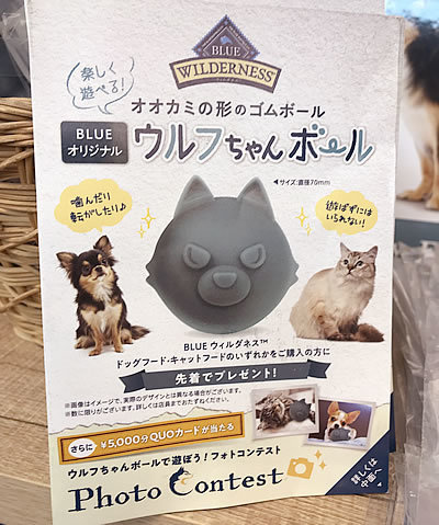 ウィルダネス、キャンペーン中！！_e0362456_19391717.jpg