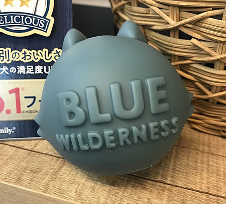 ウィルダネス、キャンペーン中！！_e0362456_19393437.jpg