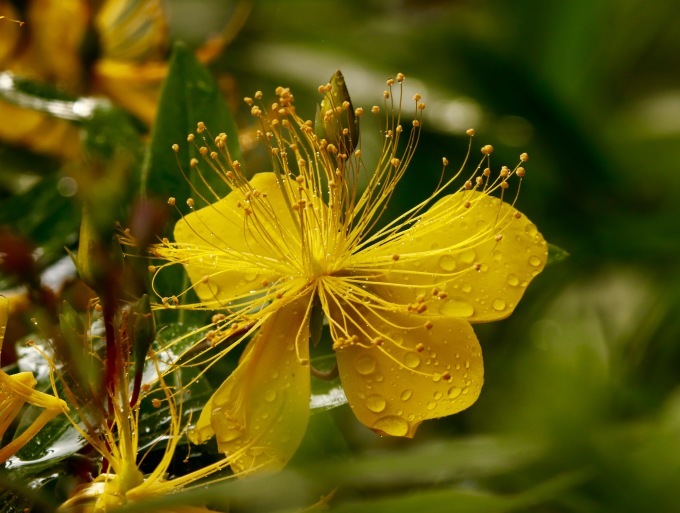 a0248459_14073823.jpg