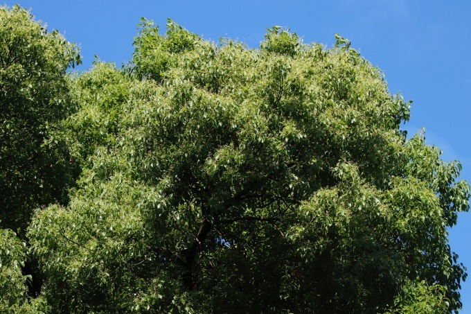 a0248459_14101881.jpg