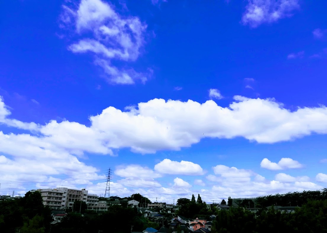a0248459_14150830.jpg