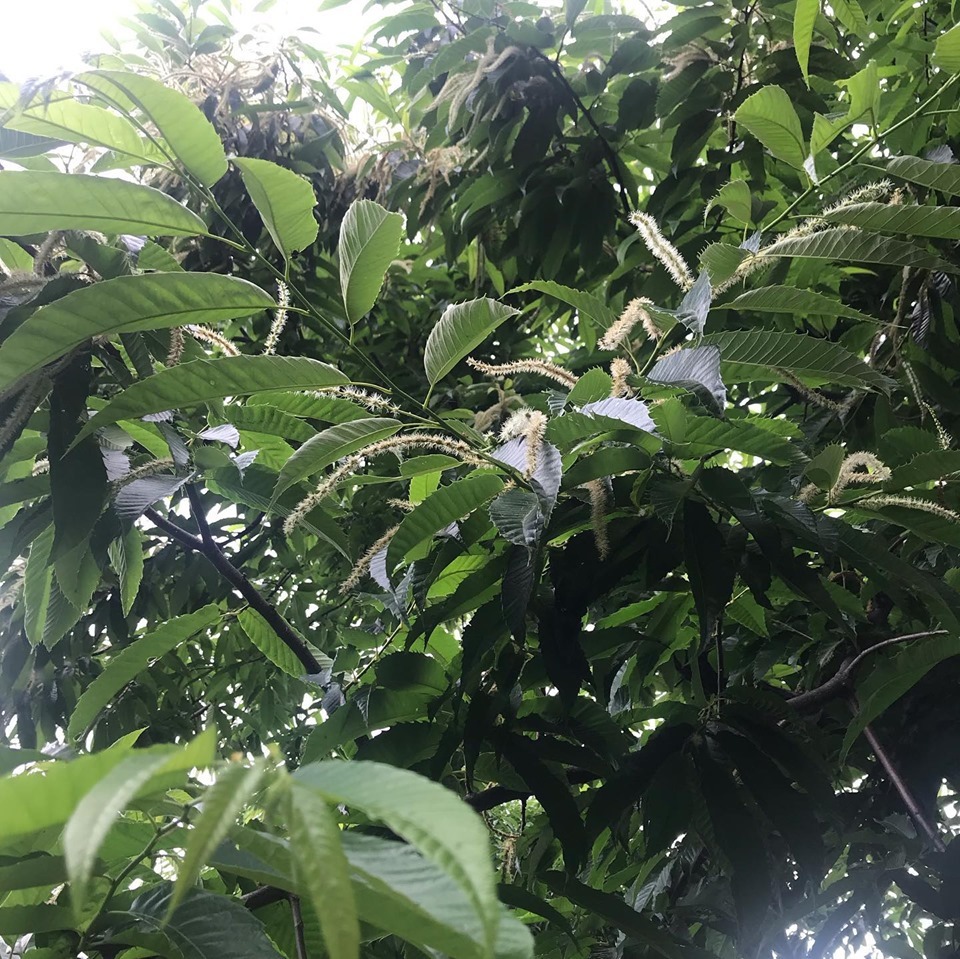 c0115560_10422640.jpg
