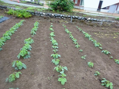 d0074063_07311049.jpg
