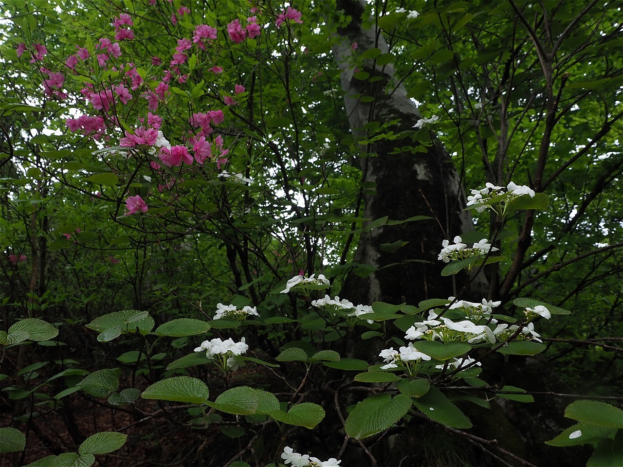 c0237264_18223058.jpg