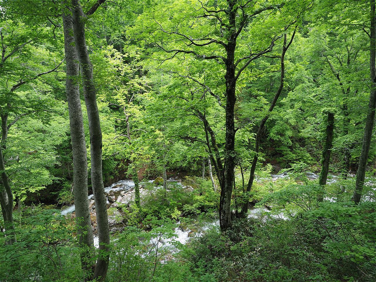 c0237264_18241996.jpg