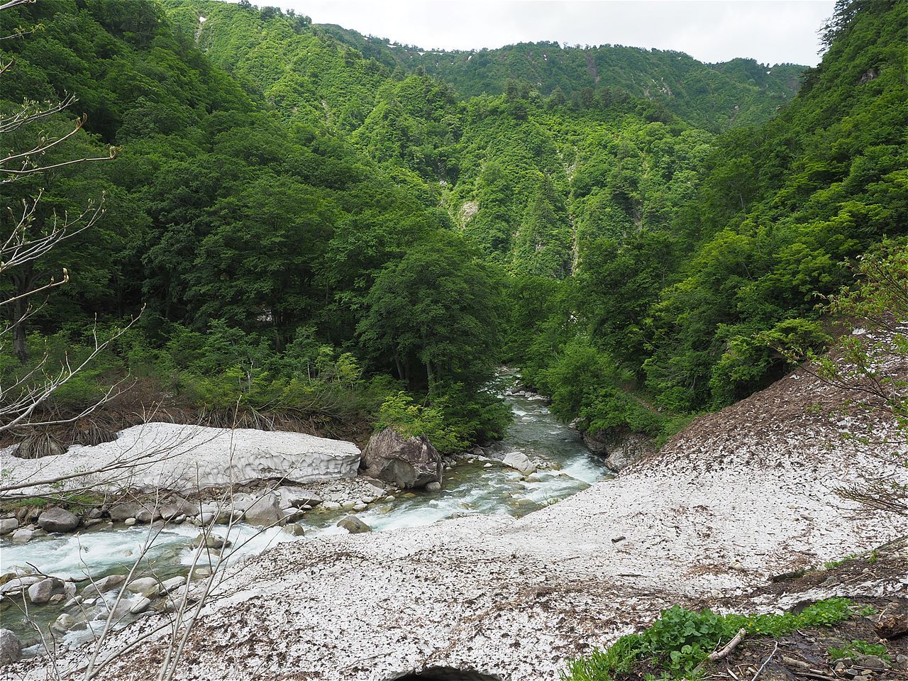 c0237264_18252430.jpg