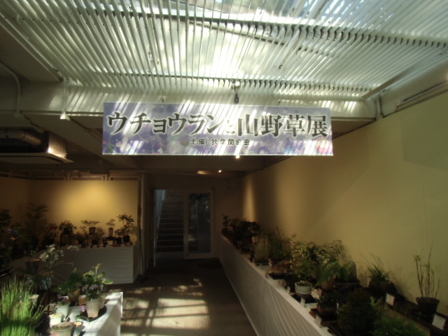 f0318967_00575402.jpg
