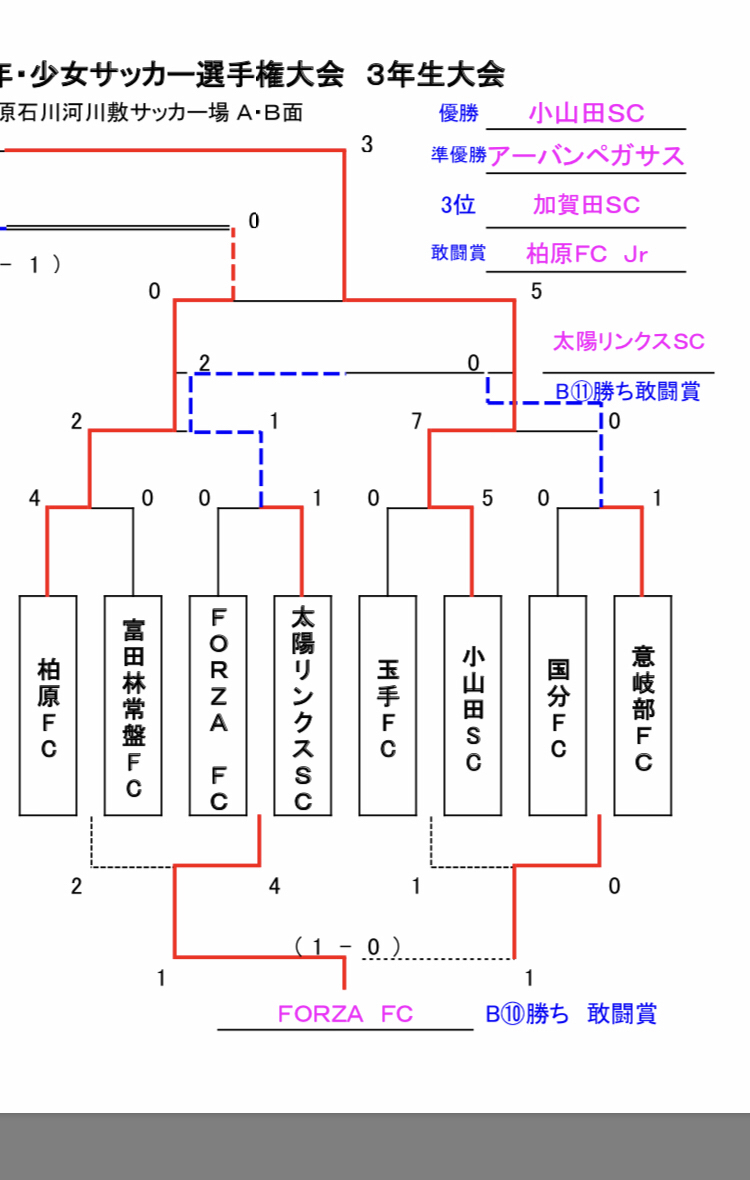 柏原市サッカープロジェクト 柏原市サッカープロジェクト