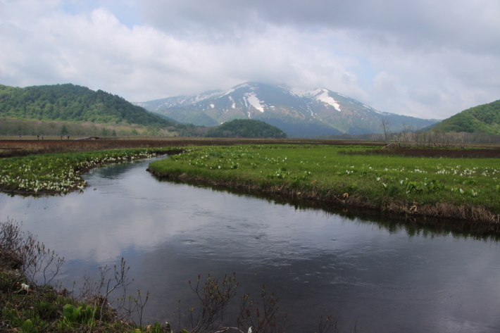 b0369971_13112404.jpg