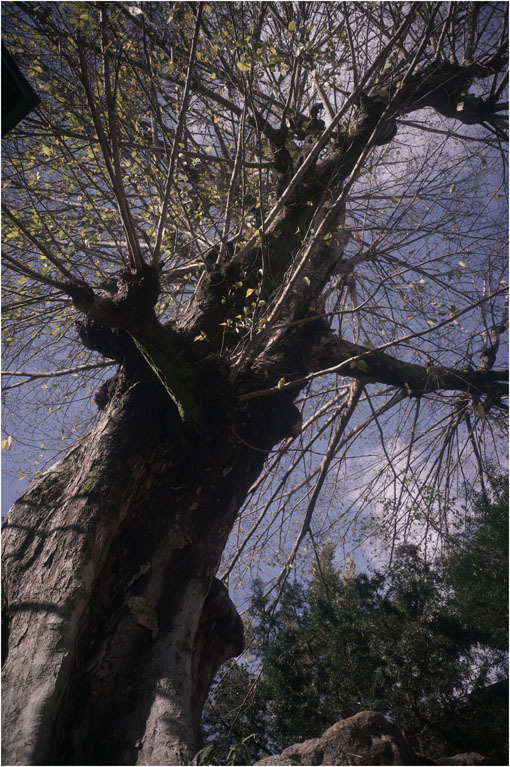 c0168172_14144676.jpg