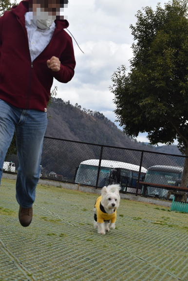 b0242873_13024803.png