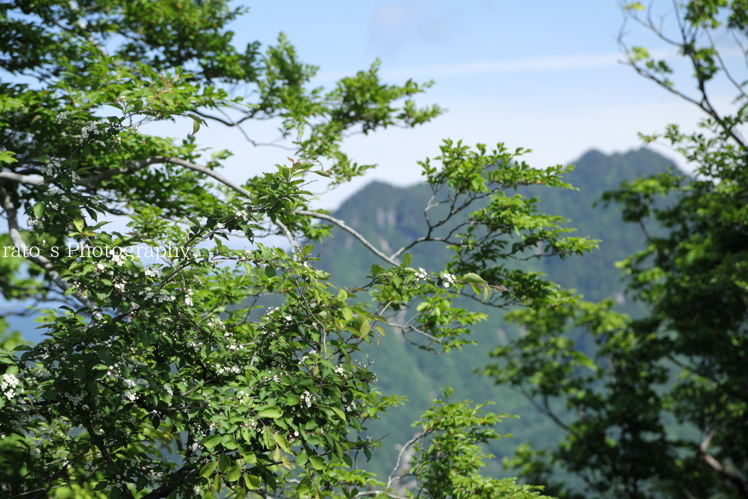 f0236776_07463190.jpg
