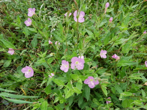 f0054677_07381526.jpg