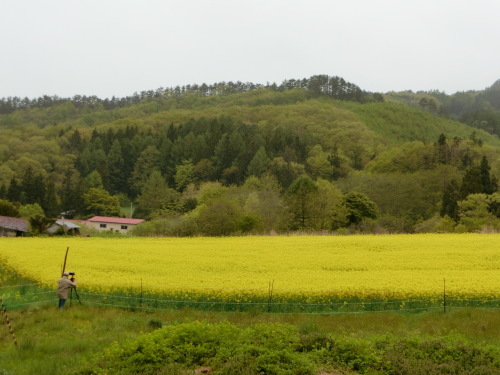 a0053480_08052391.jpg