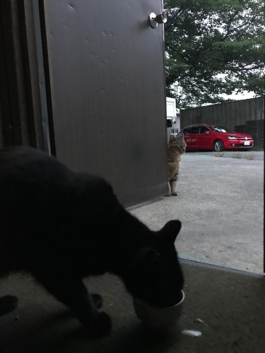 a0216583_23135500.jpeg