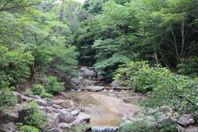 2019年6月第一例会（家族旅行）_b0188483_15152618.jpg