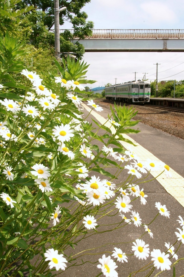 f0242684_22055585.jpg