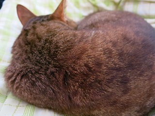 e0130185_81443.jpg