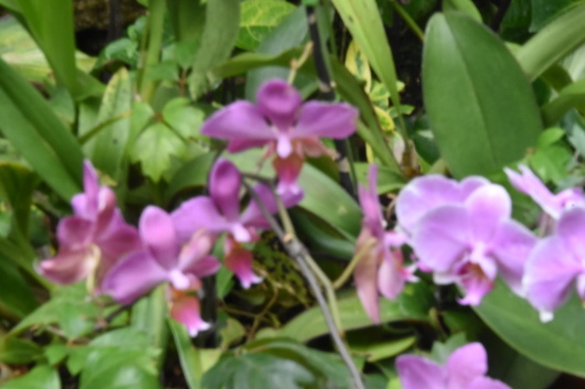 b0329186_07265588.jpg