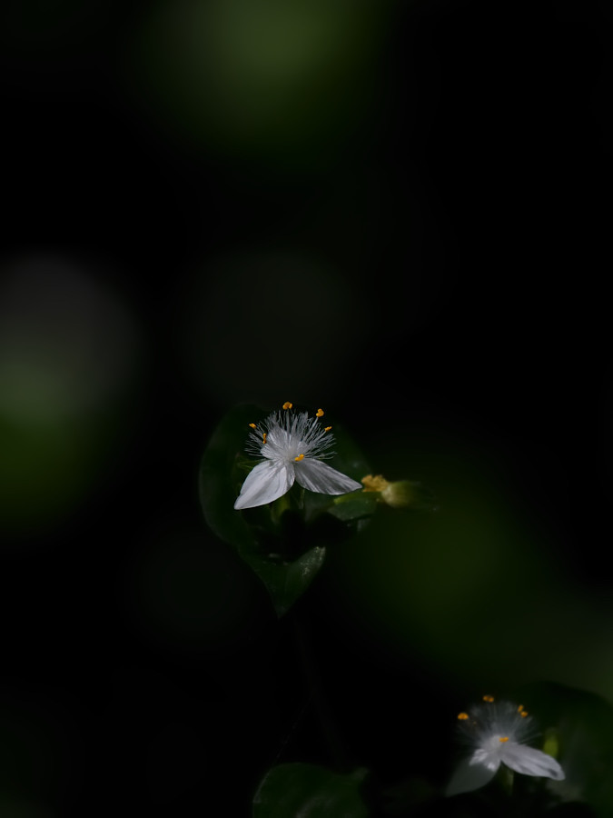 a0143491_23244024.jpg