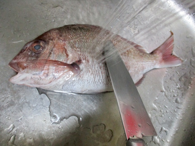 a0091796_22154019.jpeg