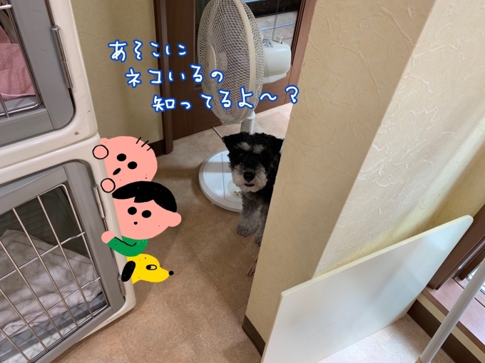 d0269898_11235998.jpeg