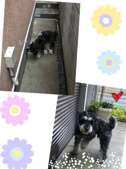 d0269898_11245083.jpeg
