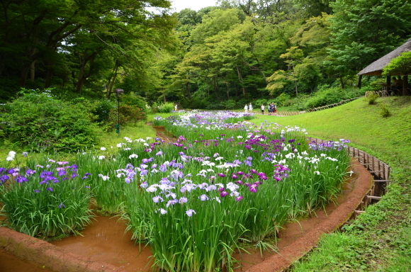 a0288500_17413330.jpg