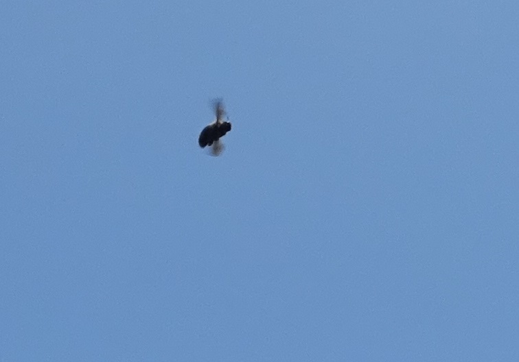 e0078900_14085436.jpg