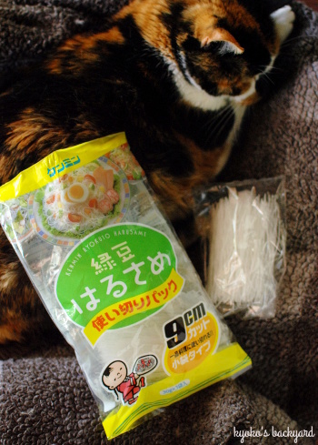 牛肉・パプリカ・ハラペーニョのオイスターソース炒め。春雨サラダ_b0253205_01464478.jpg