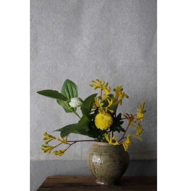 煎茶と花 － 花の章 －_f0351305_00024924.jpeg