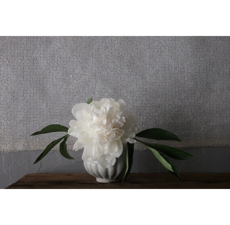 煎茶と花 － 花の章 －_f0351305_00043745.jpeg