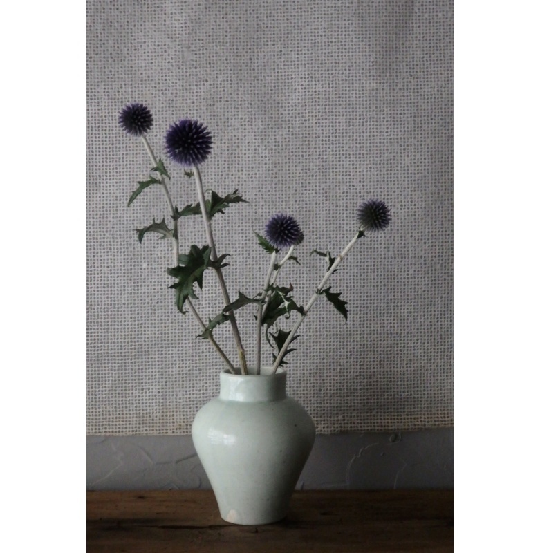 煎茶と花 - 花の章 -_f0351305_00050398.jpeg