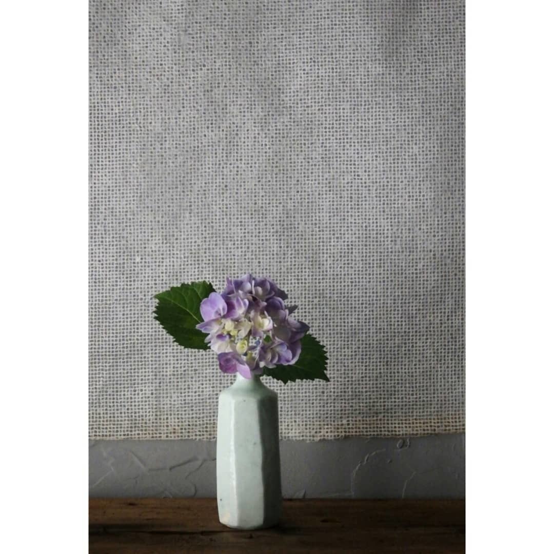 煎茶と花 - 花の章 -_f0351305_00052773.jpg