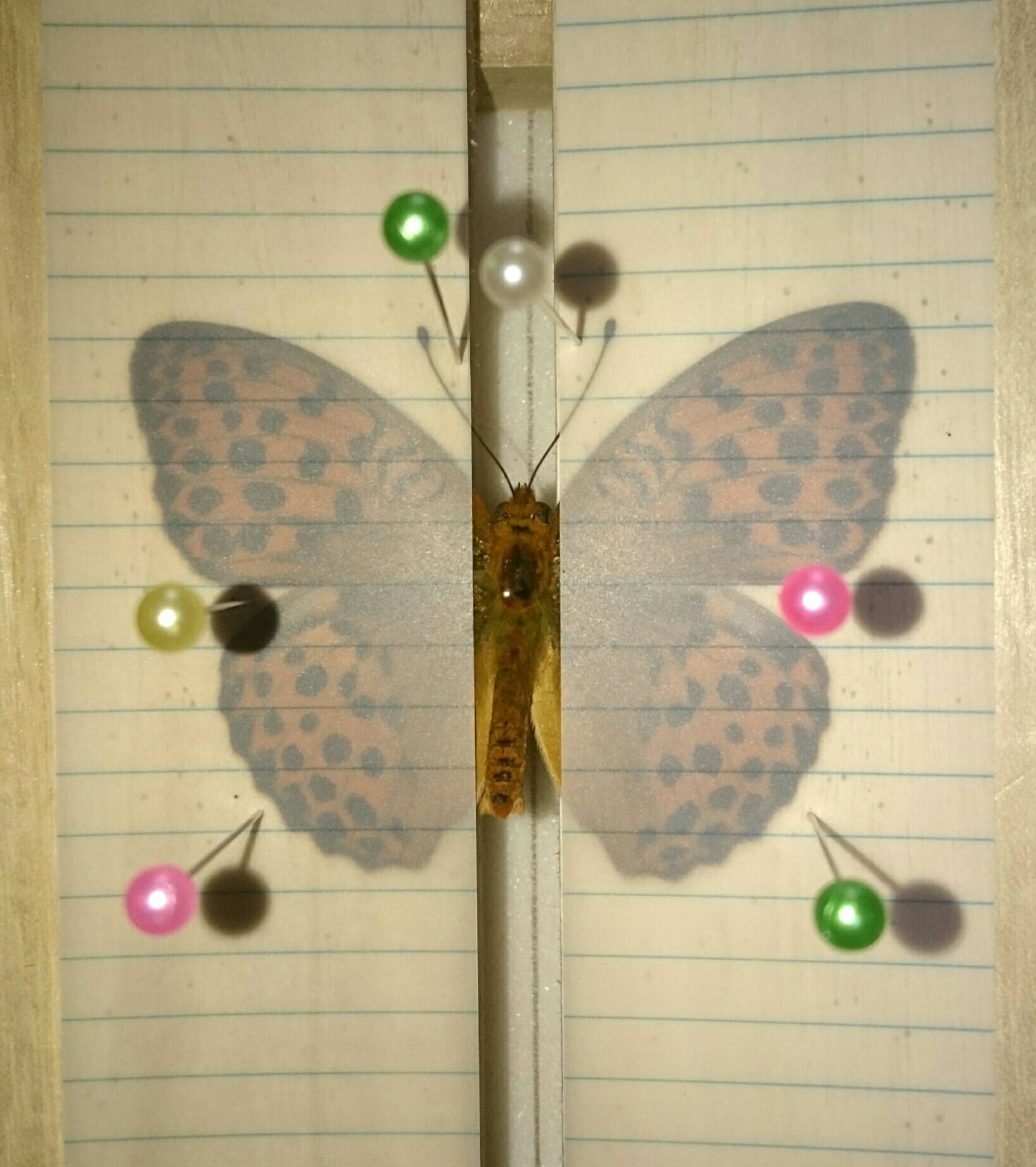a0361610_21031713.jpg