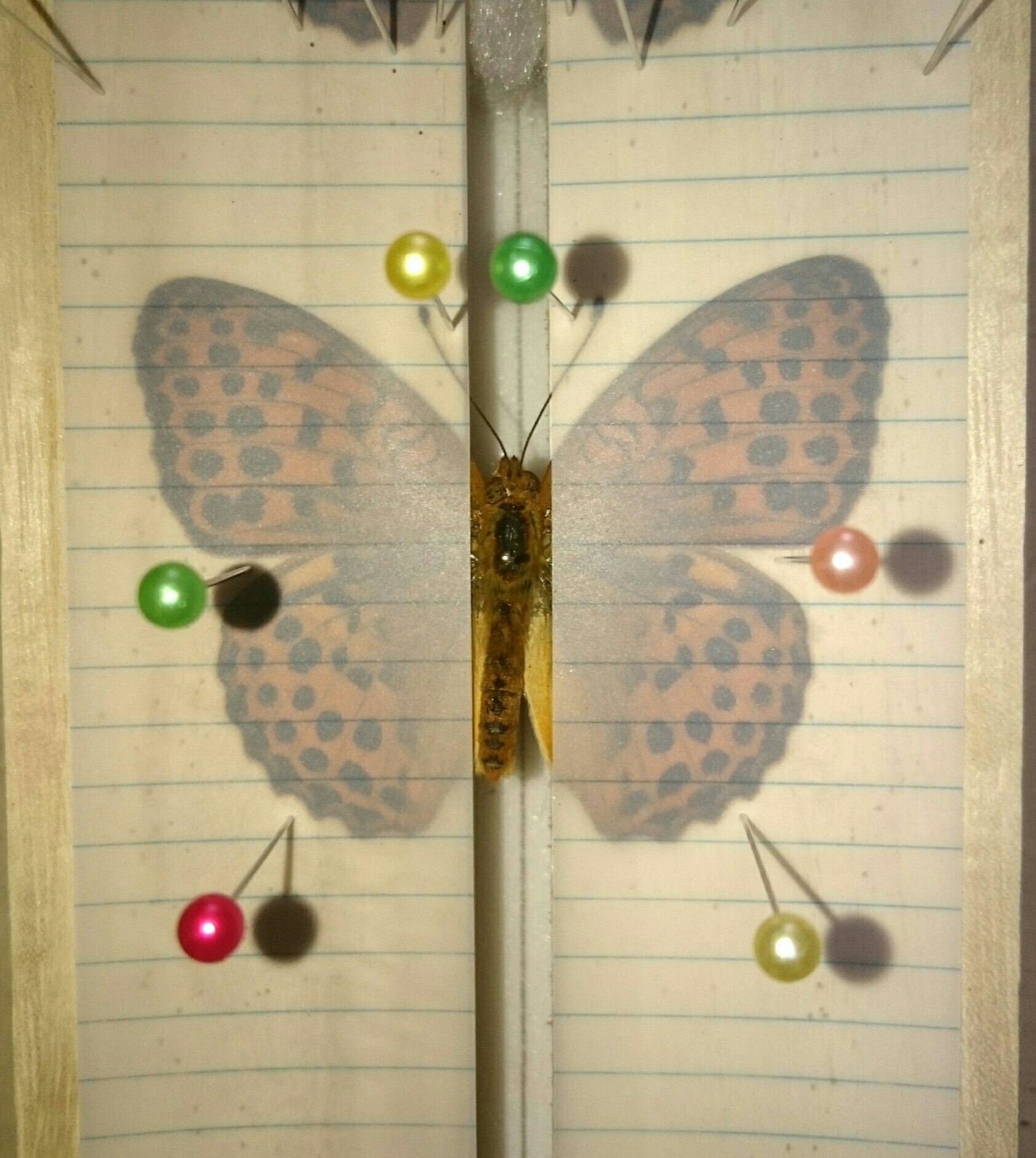 a0361610_21041456.jpg