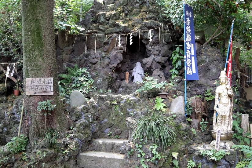 黄色と白 - 2019年・ドクターイエロー -_b0190710_22093032.jpg