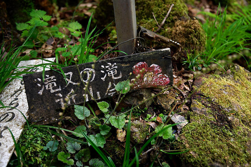 滝巡り@細野 滝又の滝_f0032011_20345442.jpg