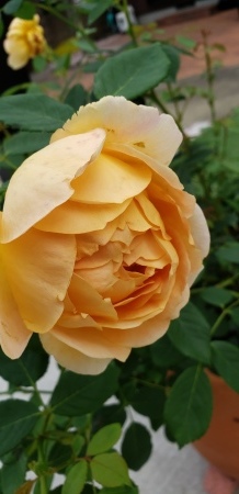 e0238514_06191911.jpg