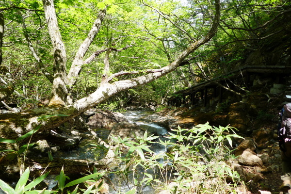 d0170615_09060601.jpg