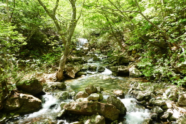 d0170615_09062161.jpg