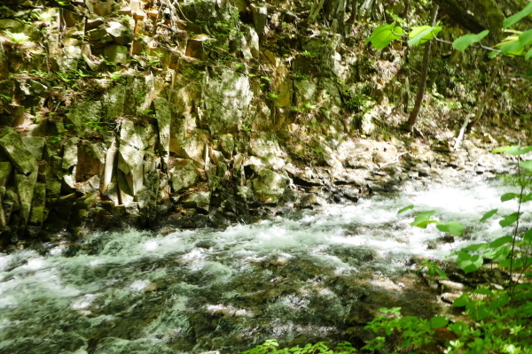d0170615_09062705.jpg