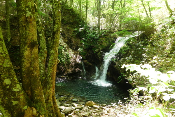 d0170615_09063316.jpg