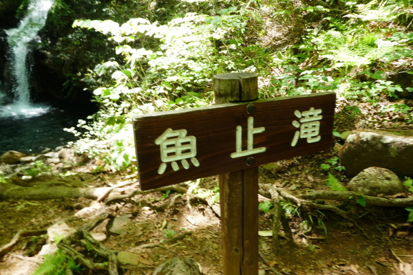 d0170615_09064144.jpg