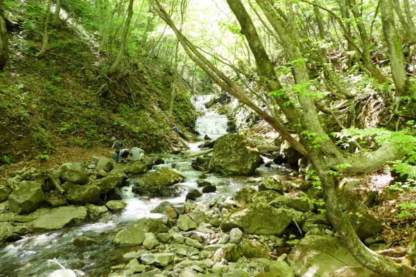 d0170615_09064782.jpg