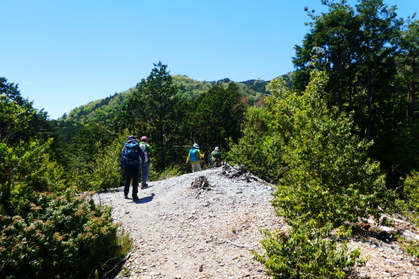 石楠花咲く　天ｹ岳 (788M)   登頂編　ＮＯ２_d0170615_20133345.jpg