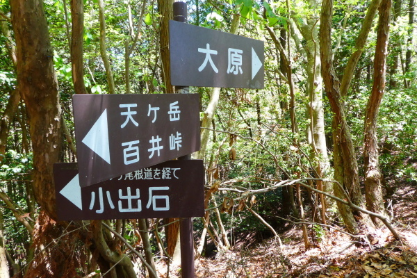 d0170615_20141851.jpg
