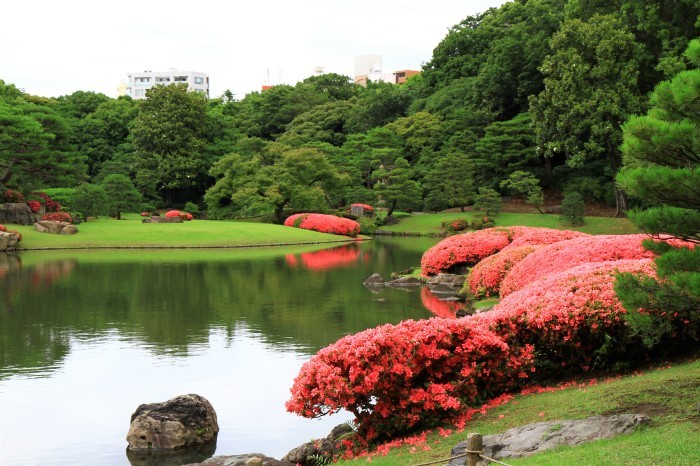 雨模様の六義園_b0325217_09211442.jpg