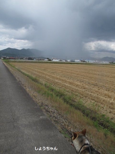 f0143123_20392966.jpg