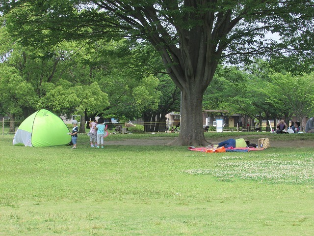 はにわ館隣接の公園散策_e0321325_19461733.jpg